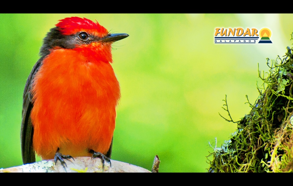 Fundar Galápagos - Ecuador