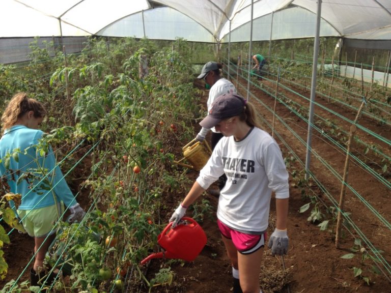Educación ambiental